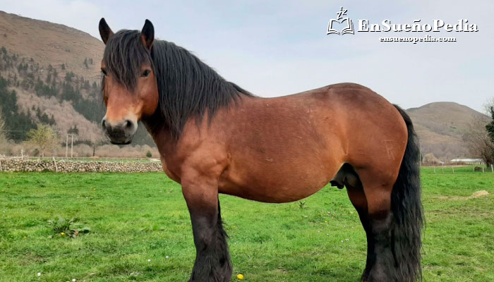 Significado de soñar con caballos