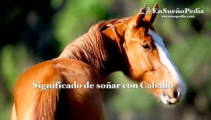 sonar-con-caballo-hermoso