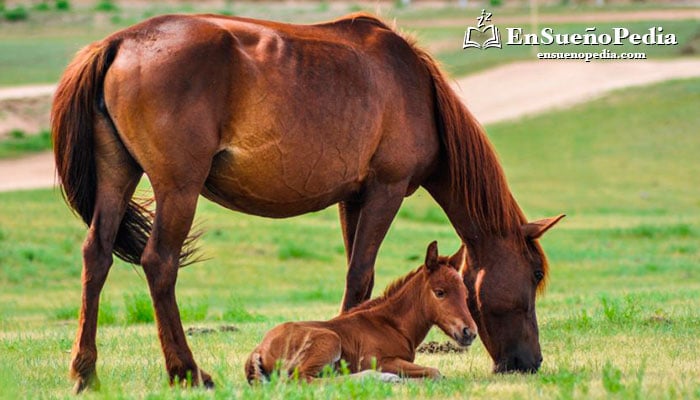 Significado de soñar con caballo