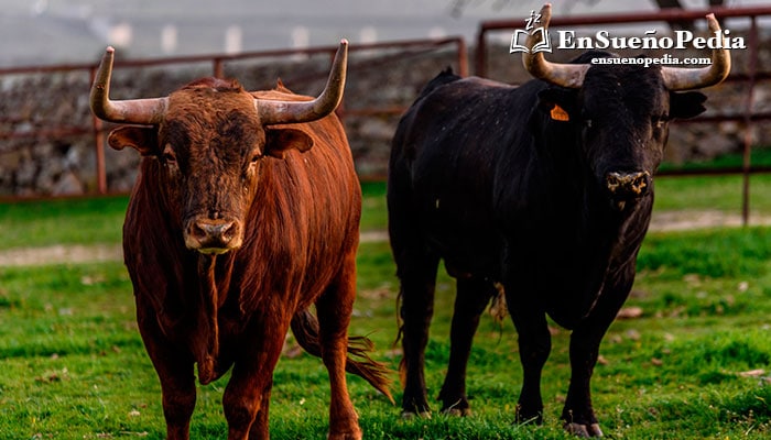 Significado de soñar con toros