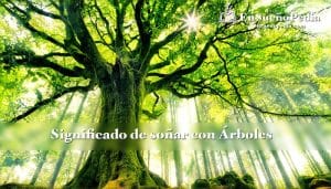 significado-sonar-con-arbol-de-la-vida