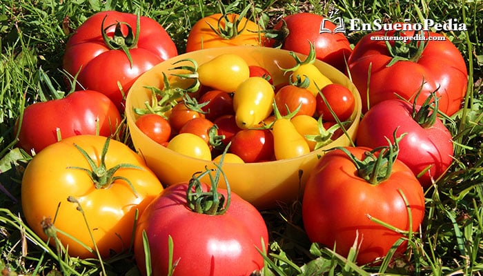 significado-suenos-con-tomates