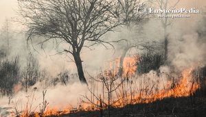 suenos-con-incendio