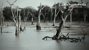 suenos-con-inundacion