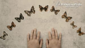 sonar-con-mariposas