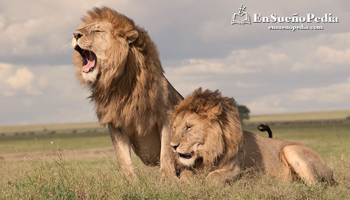 Significado de soñar con leones